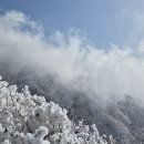 힐링하우스펜션 이미지