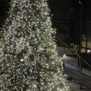 해피&라온 | [경기 가평 1박2일]감성 풀빌라 독채 펜션 빌라라온/바베큐/개별 수영장/테라스_내돈내산 솔직후기