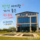뽑기놀이 | 안성 아이랑 가기 좋은 카페, 논뷰 감성 가득한 리센트커피 후기