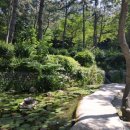 로얄헬스크럽 이미지