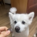 로이메디 이미지