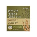 밀 이미지