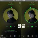 멜롬 이미지