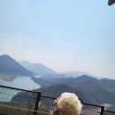 바른건강 닥터존 이미지