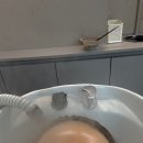 무드모어 | [검단신도시미용실] 모어무드헤어 : 웨딩촬영 전 염색 대만족 후기