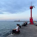 지동목장 | [🏝️제주 일기] 제주가 좋아