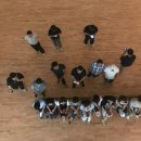 「거북이자리」 김유진 작가 강연 | 인생 버스