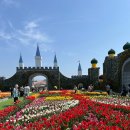 포토시그니처서산 | 태안 꽃축제, 세계 튤립꽃박람회로 봄을 제대로 만나다