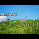 에버그린(evergreen)