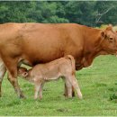 광장71호 이미지