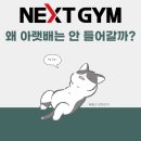 세븐일레븐 용인구갈타운점 | [구갈동 헬스장/기흥역 PT]왜 아랫배는 안 들어갈까? 넥스트짐 기흥구청점이 알려줄게!