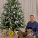 성유리 카카오 검색결과