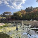 대가야테마관광지 입구 주차장 이미지