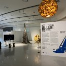 HI | DDP 전시 Next Hi-Light 후기 | 서울 무료 전시 추천