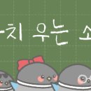 배드키드 굿 파트너 배키굿파 시즌2 삐삐‼️ 이미지