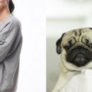 하스펫탈동물병원 이미지