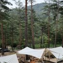 덕풍계곡마을야영장 | 강원도 삼척 덕풍계곡 별빛야영장 후기(feat.코오롱 오두막텐트 2개 피칭)