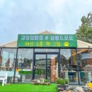 모모의바다 이미지