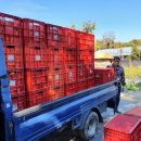 규태농장 이미지