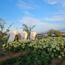 충청북도농업과학관 | 2025년을 되돌아보며, 새로운 여행을 떠나요~