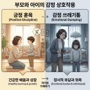 자녀와의 긍정적인 관계를 위한 올바른 훈육 | 존중받는 아이, 성장하는 부모!훈육과 감정 쓰레기통의 차이, 현명하게 구분하는 법
