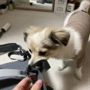 오케이반품마트