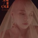 솔라 이미지