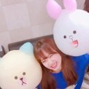 위미 이미지