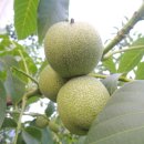 한창희농장 이미지