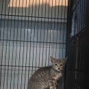 군산시-00947 이미지