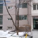 경기도 수원시 팔달구 권광로317번길 12 (인계동, 선경아파트) 이미지