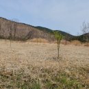 대전리농장 이미지