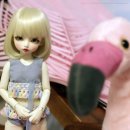 몽요요