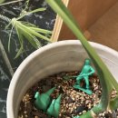 제주한라병원 | 초록빛이 가득한 제주시 한라병원 근처 '베르디' 카페 리얼 후기