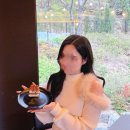 셀프염색 | 시세이도 다크애쉬브라운 후기 &amp; 염색약 조합