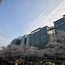 가산빌딩 | 가산디지털단지역 피부관리 따뜻한 뱀부바디관리 류하스킨 후기