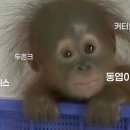 2026ver. 신조어 모음 이미지