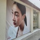 페이즈헤어 이미지