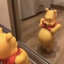 고래고래회&해산물포차 | [제철 미더덕회 천막집 본점] 운양동 해물포차 노포감성 해산물 맛집 주말 내돈내산 방문후기