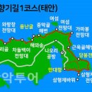 [충청남도 서해안 태안반도 가 볼만한 곳 / 솔향기길 /산제산 / 여름 휴가] 이미지