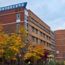 글꽃초등학교 앞 이미지