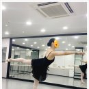 아르떼발레 이미지