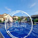 묵곡 | [산청군] 단성면, &lt;너와나 펜션&gt;, &lt;단성묵곡생태숲&gt;을 다녀왔어요(1박2일 여행) 2025.07.06