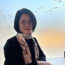 수족관(박준희 시인) 이미지