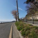 천성대항길 이미지