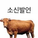 몽블랑핸즈여수