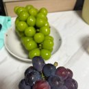 해찬농장 네이버블로그
