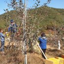 쌍백면사무소 이미지