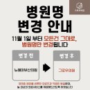 뉴헤어시티 | 부산모발이식비용, 진짜 가성비를 찾는 방법.