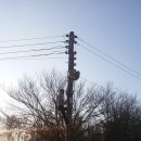 에벤에셀농장 이미지